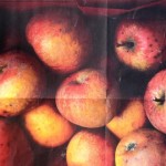 Basket of russett apples